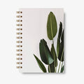 Premium Spiral Plain Notebook - Minimalist Bird of Paradise Plant Cover Design - A5 Size, Made In UAE