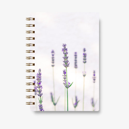 Premium Spiral Plain Notebook - Minimalist Blue Orchid Cover - A5 Size, Made In UAE